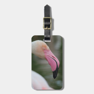 Fenicopterus roseus bagagebricka