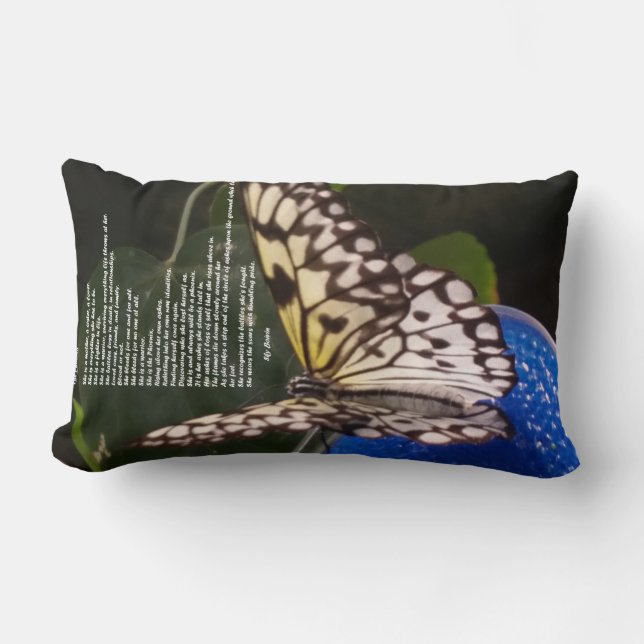 Fenix-kudden Lumbarkudde (Framsida)