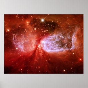 Fenix Poster