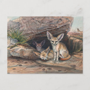 Fennec Fox av Joseph Varg Vykort