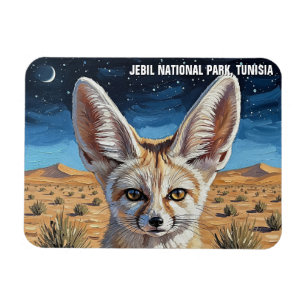 Fennec Fox i Jebil nationalpark i Tunisien Magnet