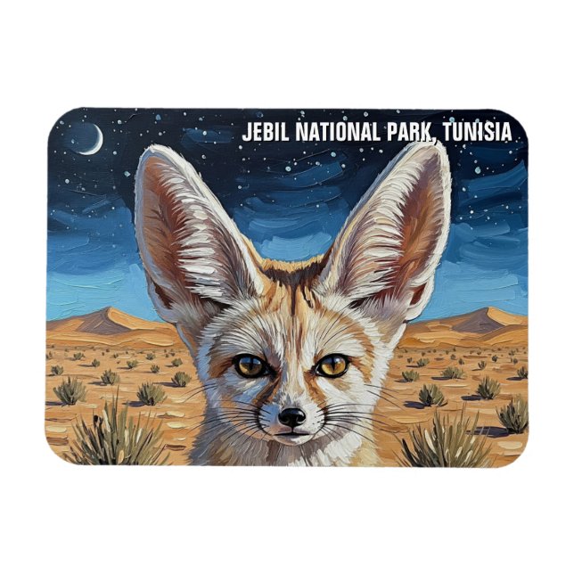 Fennec Fox i Jebil nationalpark i Tunisien Magnet (Horisontell)