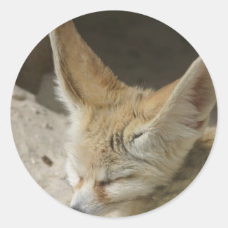 Fennec Fox Sticker Runt Klistermärke