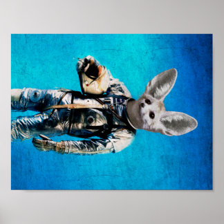 Fennec kapten poster
