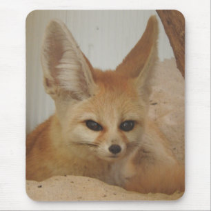 Fennec räv musmatta