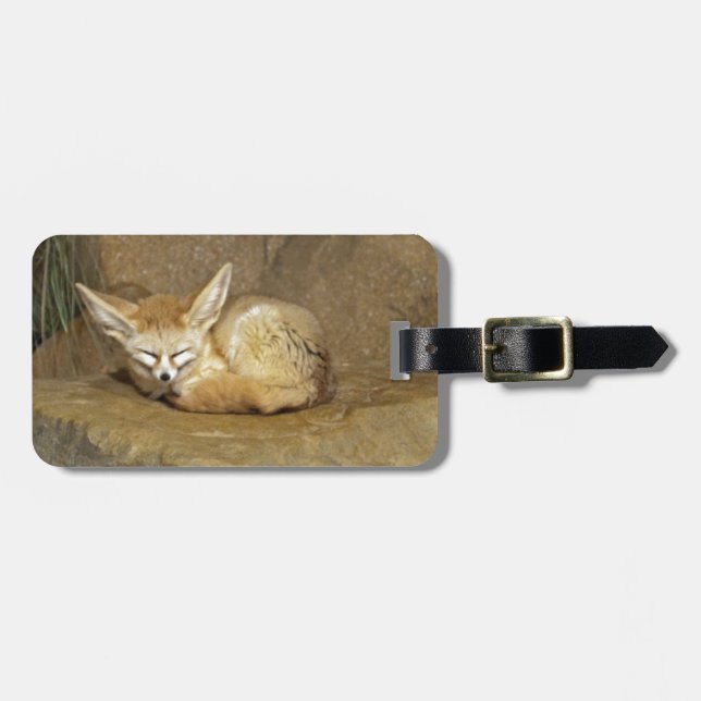 fennecräv bagagebricka (Horisontell Framsida)