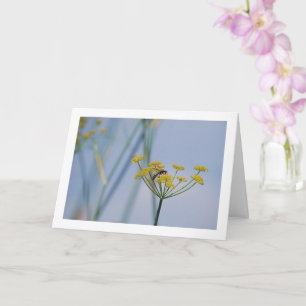 Fennel för Wasp-Vild Kort