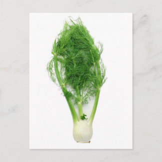 Fennel löv och lökar vykort