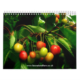 Fennel- och för Fern 2010 kalender