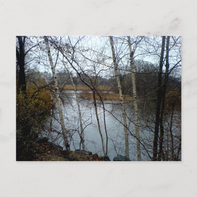 Fens, bak Bay, Boston Vykort (Framsida)