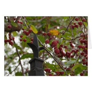 Fens och Crabapples Hälsningskort