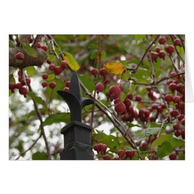 Fens och Crabapples Hälsningskort (Framsidan Horizontal)