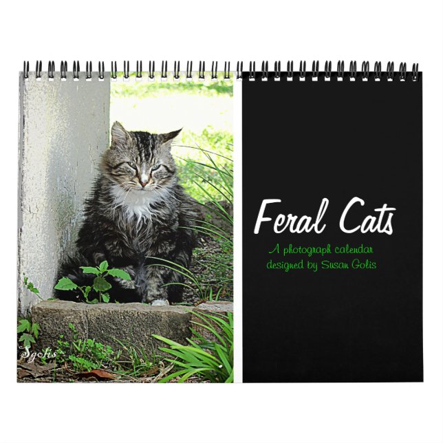 Feral Cat-fotokalender Kalender (Omslag)