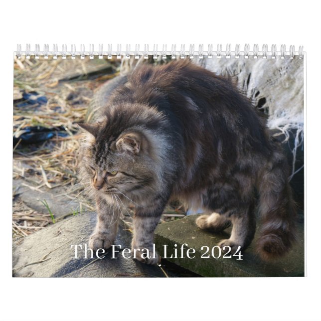 Feral Life 2024, vackra naturkatastrofer, kalendra Kalender (Omslag)