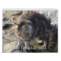 Feral Life 2024, vackra naturkatastrofer, kalendra