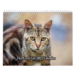 Feral LIfe Photo Cats 2025 Calendar Kalender