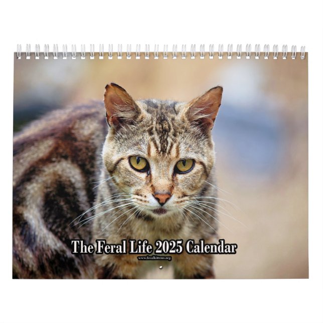 Feral LIfe Photo Cats 2025 Kalender (Omslag)