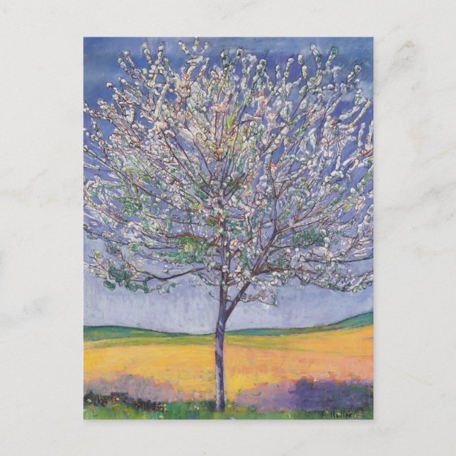 Ferdinand Hodler- Cherry Träd i Bloom Vykort (Framsida)