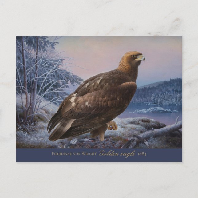 Ferdinand von Wright Golden eagle 1884 CC0314 Vykort (Framsida)