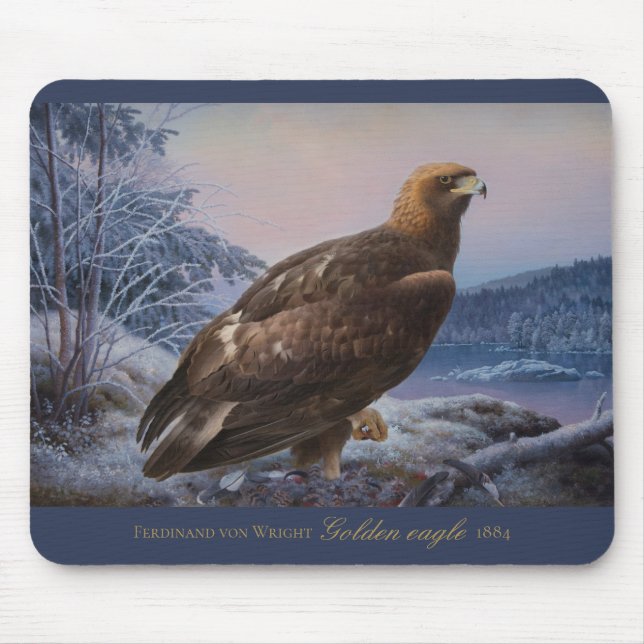 Ferdinand von Wright Golden eagle 1884 Wildlife Musmatta (Framsidan)