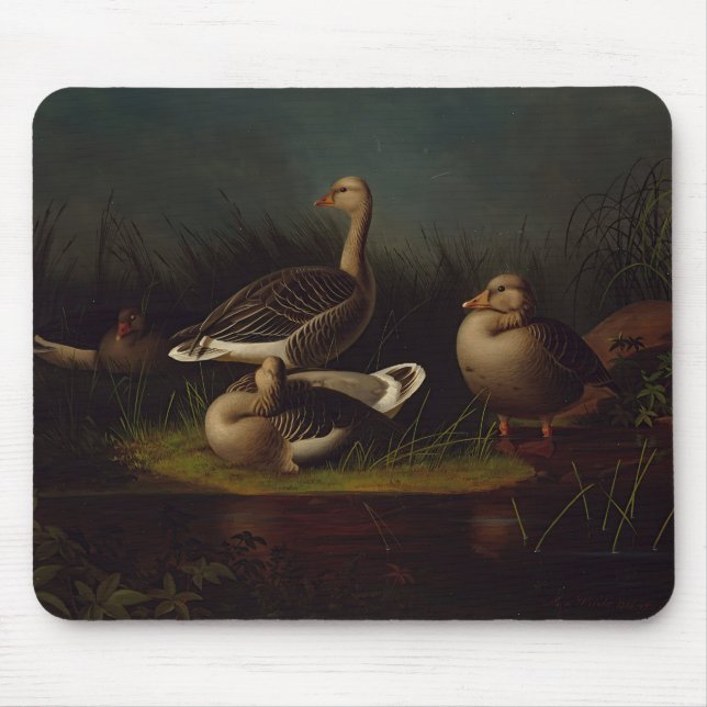 Ferdinand von Wright - Greylag Geese Musmatta (Framsidan)