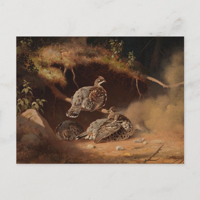 Ferdinand von Wright - Hazel Grouse Wallow Vykort (Framsida)