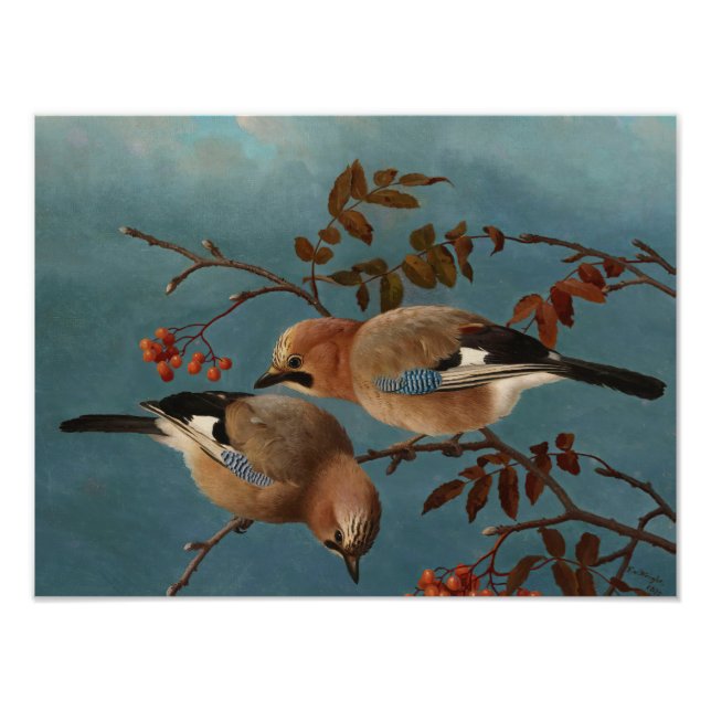 Ferdinand von Wright - Jays Fototryck (Framsidan)