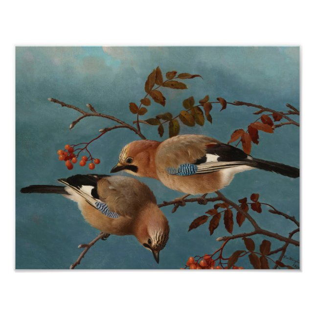 Ferdinand von Wright - Jays Fototryck (Framsidan)