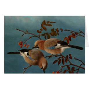 Ferdinand von Wright - Jays Hälsningskort