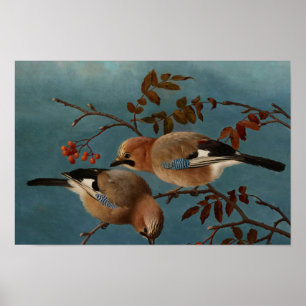 Ferdinand von Wright - Jays Poster