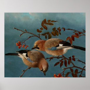 Ferdinand von Wright - Jays Poster