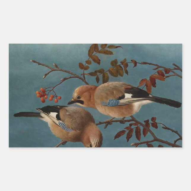 Ferdinand von Wright - Jays Rektangulärt Klistermärke (Framsida)