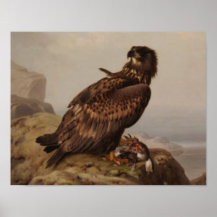 Ferdinand von Wright - White-Tails Eagle Poster