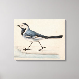 Ferdinand von Wright - White Wagtail Canvastryck