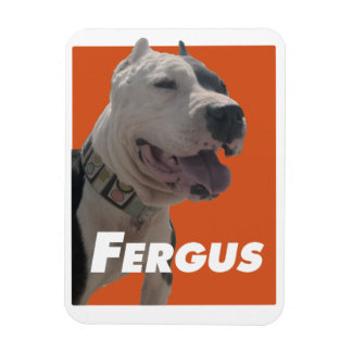 Fergus Barbers Hund Magnet
