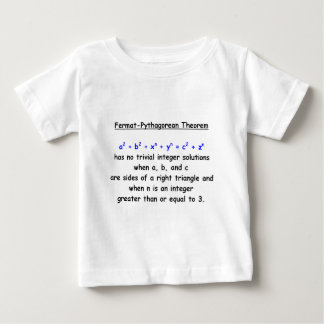 Fermat-Pythagorean fånigTheorem T-shirt