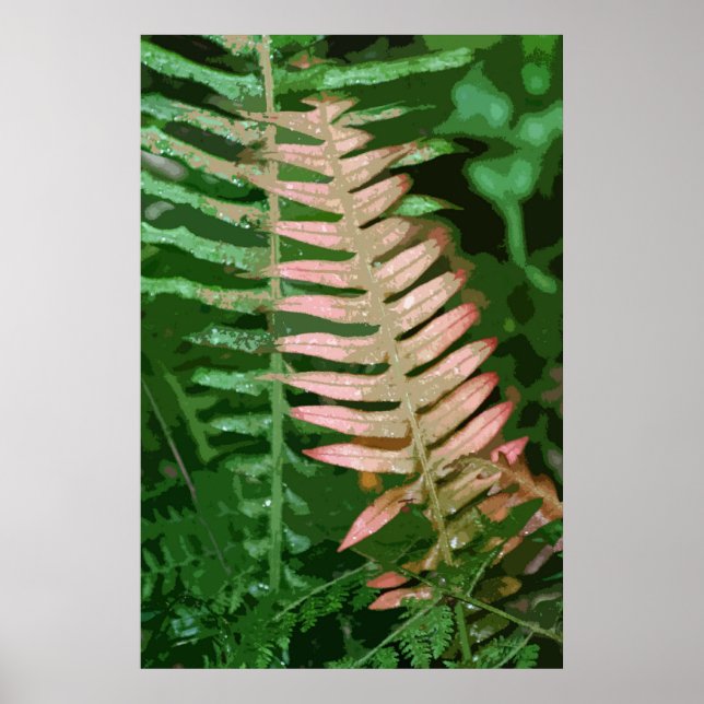 FERN 1 POSTER (Framsidan)