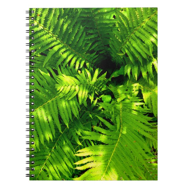 Fern Anteckningsbok (Framsidan)