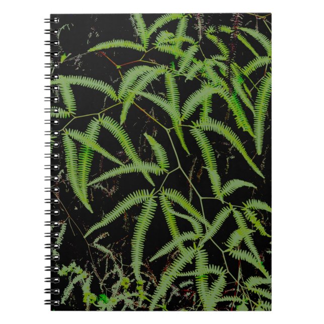 Fern Anteckningsbok (Framsidan)