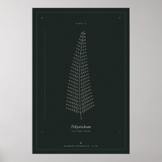 Fern Botaniskt Linjeteckning Affisch, Mörk Akademi Poster