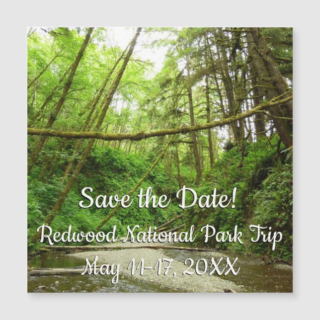 Fern Canyon I at Redwood National Park (Framsida)