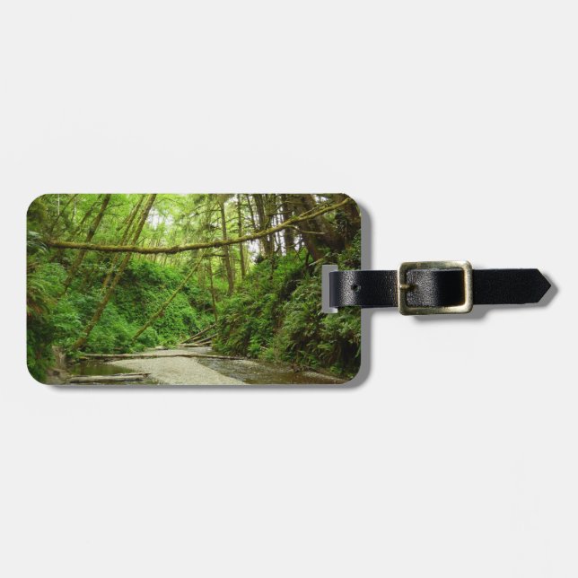 Fern Canyon I i Redwood National Park Bagagebricka (Horisontell Framsida)