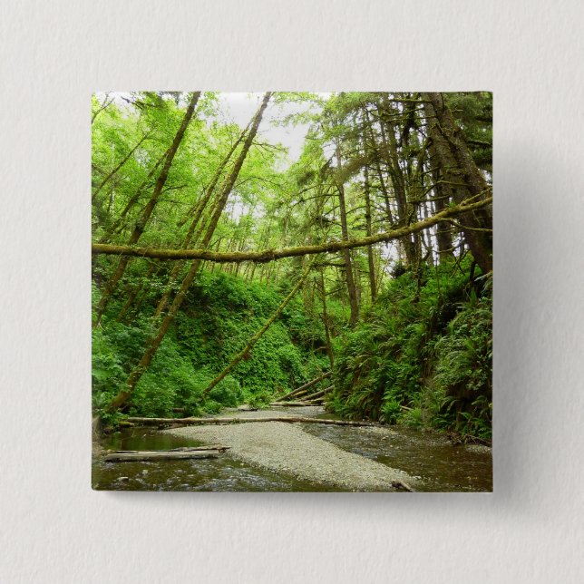 Fern Canyon I i Redwood National Park Knapp (Framsida)