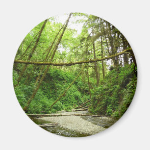 Fern Canyon I i Redwood National Park Magnet