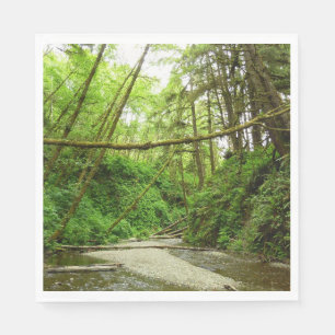 Fern Canyon I i Redwood National Park Pappersservett