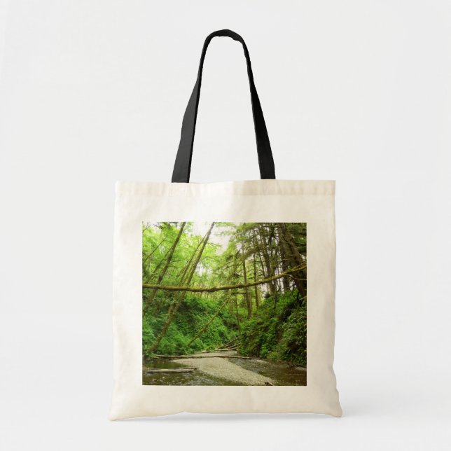 Fern Canyon I i Redwood National Park Tygkasse (Framsidan)