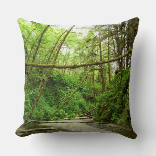 Fern Canyon I i Redwood nationalpark Kudde
