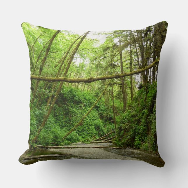 Fern Canyon I i Redwood nationalpark Kudde (Framsida)