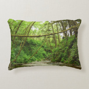 Fern Canyon I i Redwood nationalpark Prydnadskudde