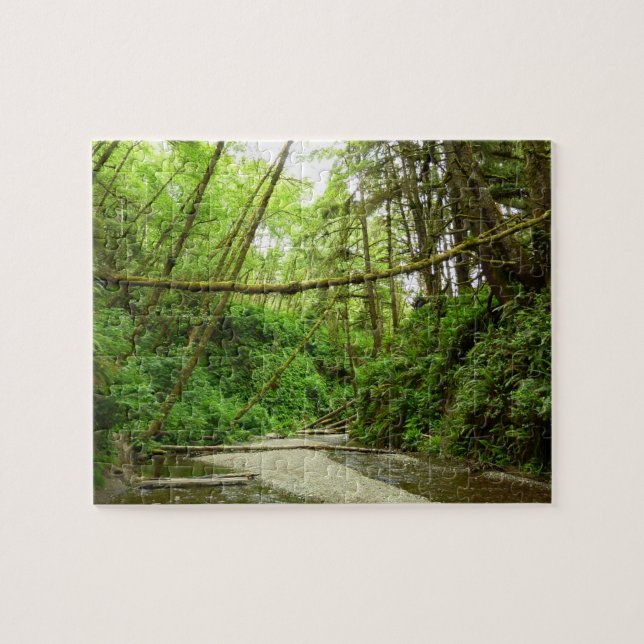 Fern Canyon I i Redwood nationalpark Pussel (Horisontell)